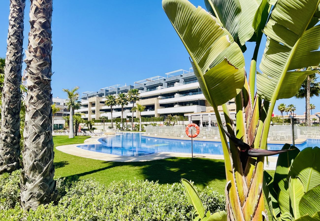 Appartement in Orihuela Costa - 3095 Playa FLAMENCA VILLAGE